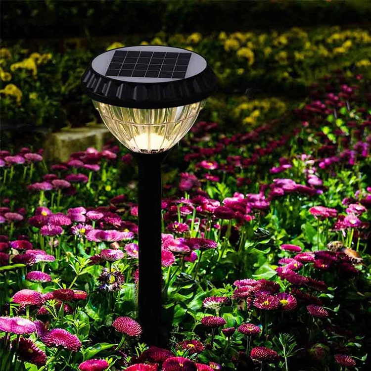 Pumpkin Solar Wall Light