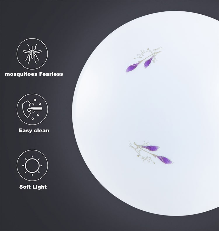 ceiling light features